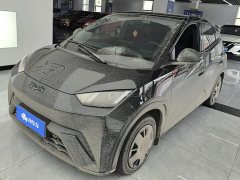 BYD Seagull Glory Edition 305km Vitality Version - ფოტო 1