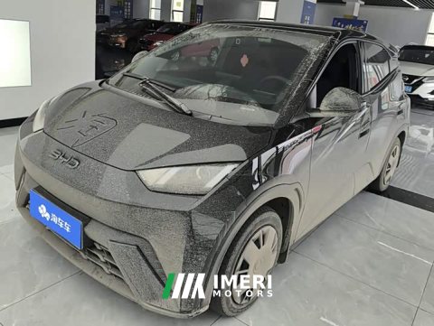 2024 BYD Seagull Glory Edition 305km Vitality Version - ავტომობილი ჩინეთიდან