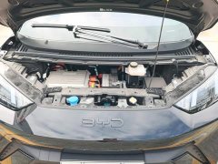 BYD Seagull Glory Edition 305km Vitality Version - ფოტო 10