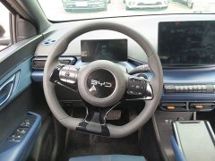 BYD Seagull Glory Edition 305km Vitality Version - ფოტო 15