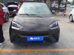 BYD Seagull Glory Edition 305km Vitality Version - ფოტო 2