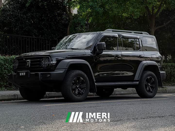 Tank 300 Off-Road Edition 2.0T Conqueror - ავტომობილი ჩინეთიდან