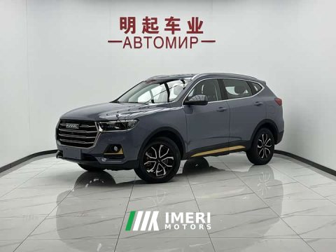 2022 Haval H6 National Trend Edition 1.5T Automatic Urban Version - ავტომობილი ჩინეთიდან