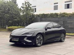 BYD Seal Champion Edition 550km Luxury - ფოტო 1