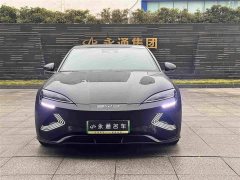 BYD Seal Champion Edition 550km Luxury - ფოტო 2