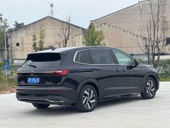 Volkswagen Viloran 380TSI Zunchi Edition - ფოტო 10