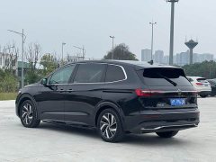 Volkswagen Viloran 380TSI Zunchi Edition - ფოტო 8