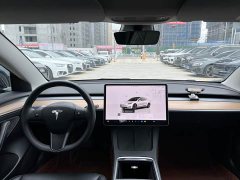 Tesla Model 3 Rear-Wheel Drive - ფოტო 17