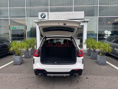 BMW X3 xDrive25i M Sport Package - фото 18