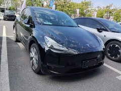 Tesla Model Y Standard Range RWD - photo 2