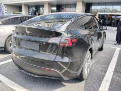 Tesla Model Y Standard Range RWD - photo 3