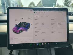 Tesla Model Y Standard Range RWD - photo 4