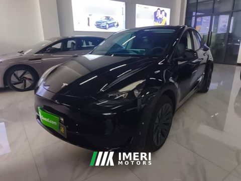 2022 Tesla Model Y Facelift Rear-Wheel Drive - автомобиль из Китая