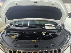 GAC Aion M8 Master Series 400T Premium Edition - photo 19