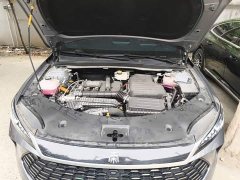 BYD Qin PLUS DM-i Smart Drive 128KM Entry-Level - ფოტო 19