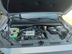 GAC Aion GS4 MAX 1.5T Premier Edition - photo 19