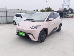 BYD Seagull Glory Edition 305km Vitality Version - photo 1