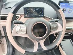 BYD Seagull Glory Edition 305km Vitality Version - photo 10