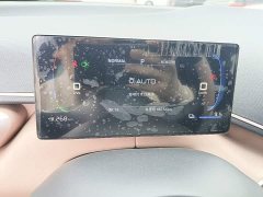 BYD Seagull Glory Edition 305km Vitality Version - photo 11
