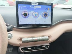 BYD Seagull Glory Edition 305km Vitality Version - photo 12