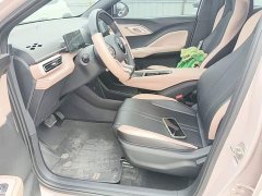 BYD Seagull Glory Edition 305km Vitality Version - photo 14