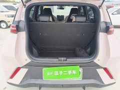 BYD Seagull Glory Edition 305km Vitality Version - photo 18