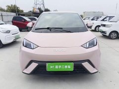 BYD Seagull Glory Edition 305km Vitality Version - photo 2
