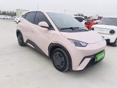 BYD Seagull Glory Edition 305km Vitality Version - photo 3