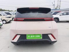 BYD Seagull Glory Edition 305km Vitality Version - photo 5