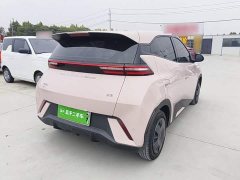 BYD Seagull Glory Edition 305km Vitality Version - photo 6
