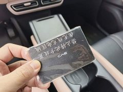 BYD Seagull Glory Edition 305km Vitality Version - photo 8