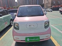 FAW Besturn Xiaoma 222km Linglong Edition - ფოტო 2