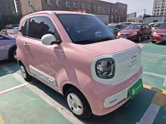 FAW Besturn Xiaoma 222km Linglong Edition - ფოტო 3