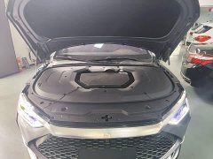 BYD Han DM AWD Performance Luxury - ფოტო 19