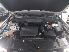 Great Wall Big Dog 1.5T DCT FWD Malinois Edition - фото 19