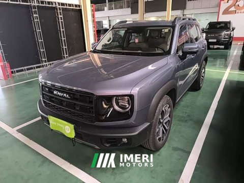 2025 Great Wall Dachshund 1.5T DCT Border Collie Edition - автомобиль из Китая