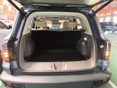 Great Wall Dachshund 1.5T DCT Border Collie Edition - ფოტო 18