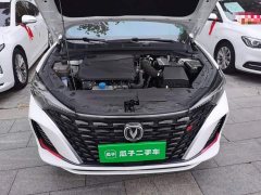 Changan Eado Enjoy Plus Blue Whale NE 1.4T GDI DCT Luxury Edition - фото 19