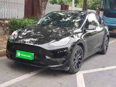 Tesla Model Y Long Range All-Wheel Drive 3D7 - ფოტო 1