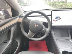 Tesla Model Y Long Range All-Wheel Drive 3D7 - ფოტო 10
