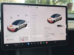 Tesla Model Y Long Range All-Wheel Drive 3D7 - ფოტო 11
