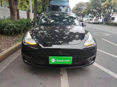 Tesla Model Y Long Range All-Wheel Drive 3D7 - ფოტო 2