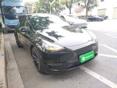 Tesla Model Y Long Range All-Wheel Drive 3D7 - ფოტო 3