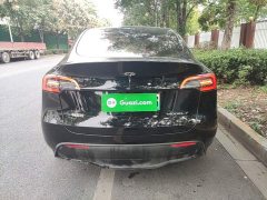 Tesla Model Y Long Range All-Wheel Drive 3D7 - ფოტო 5