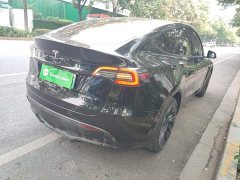 Tesla Model Y Long Range All-Wheel Drive 3D7 - ფოტო 6