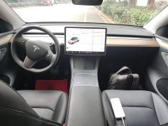 Tesla Model Y Long Range All-Wheel Drive 3D7 - ფოტო 9