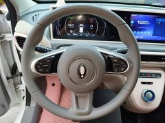 Ora White Cat Upgrade 305km Luxury Trim Ternary Lithium Battery - ფოტო 10