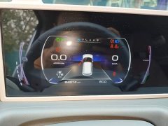 Ora White Cat Upgrade 305km Luxury Trim Ternary Lithium Battery - ფოტო 11