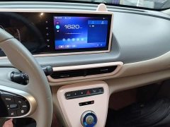 Ora White Cat Upgrade 305km Luxury Trim Ternary Lithium Battery - ფოტო 12