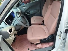Ora White Cat Upgrade 305km Luxury Trim Ternary Lithium Battery - ფოტო 14